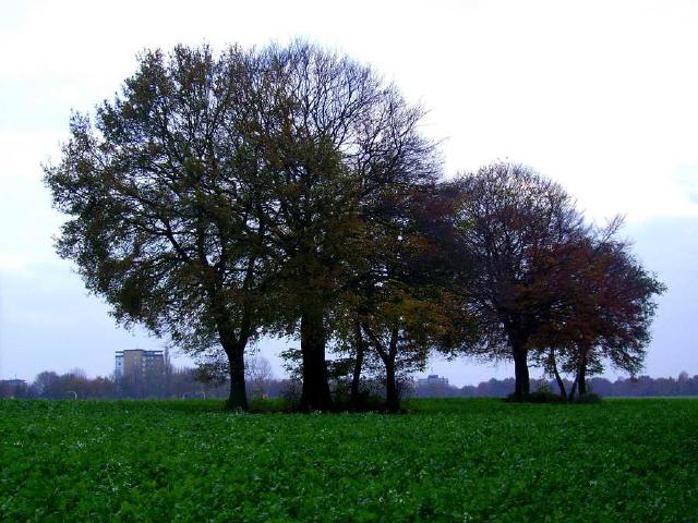 Herbstimpressionen