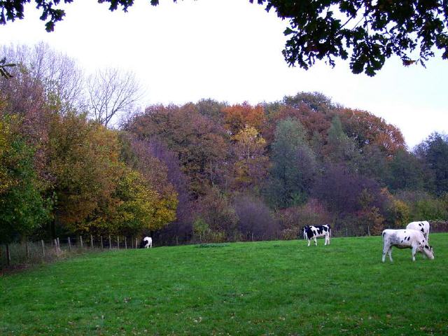 Herbstimpressionen