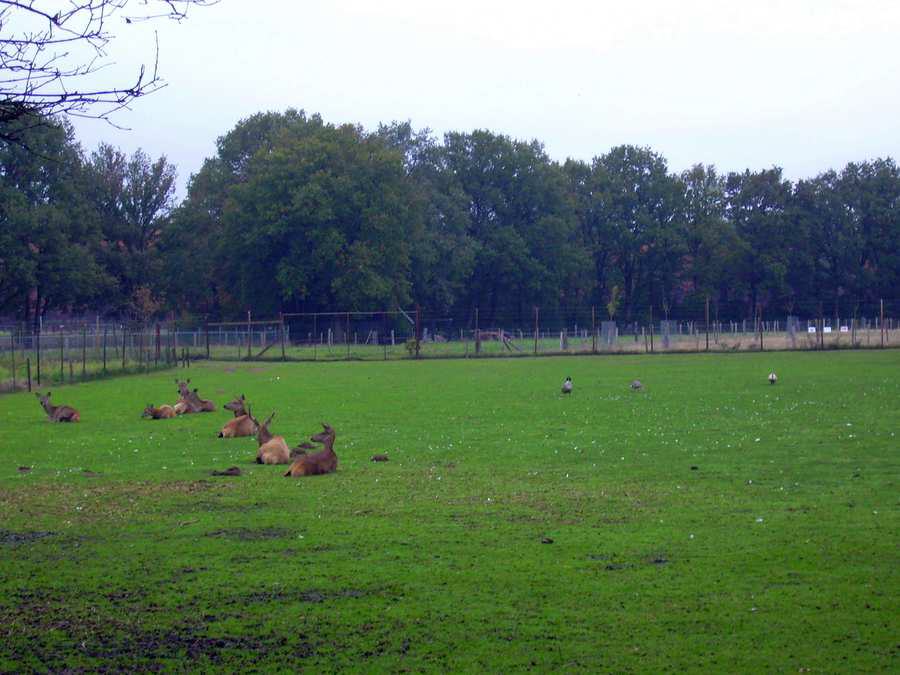 Herbstimpressionen
