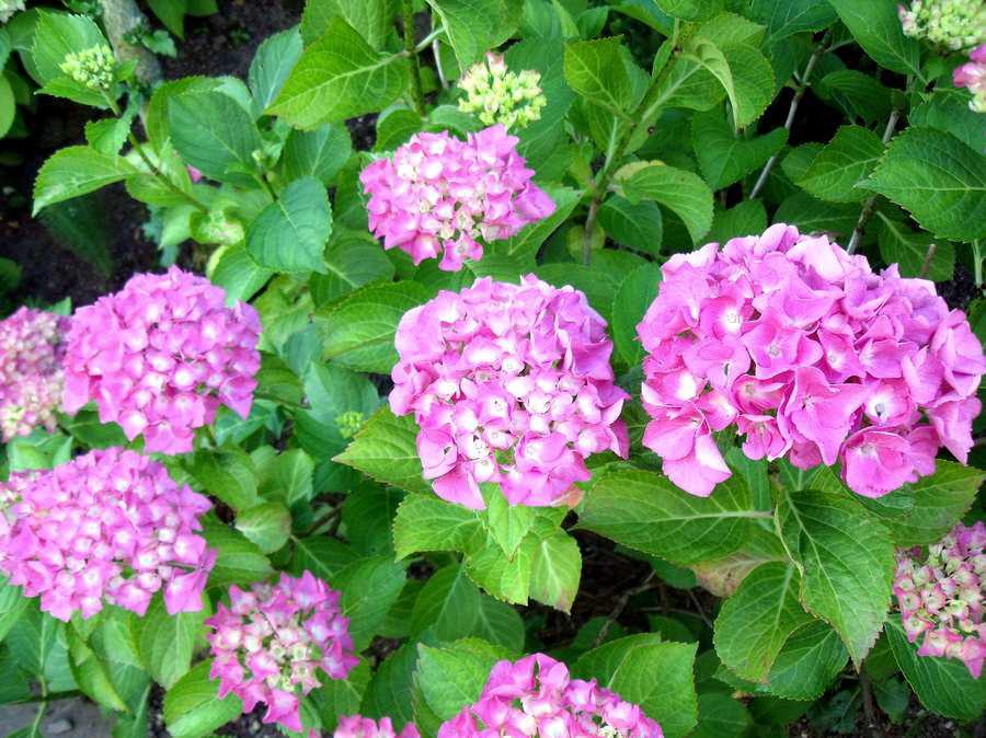 Sommerimpressionen