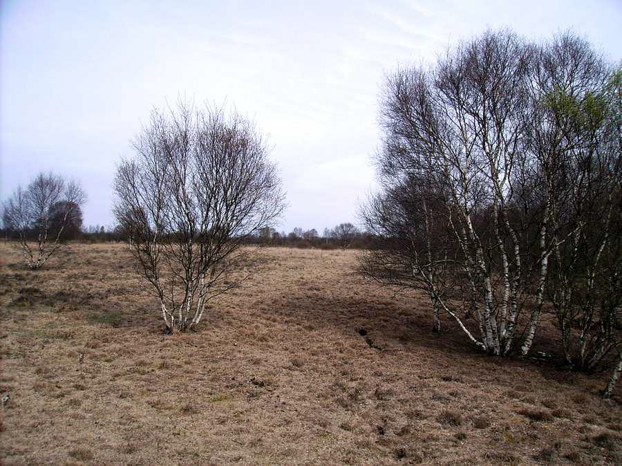 Moordorf