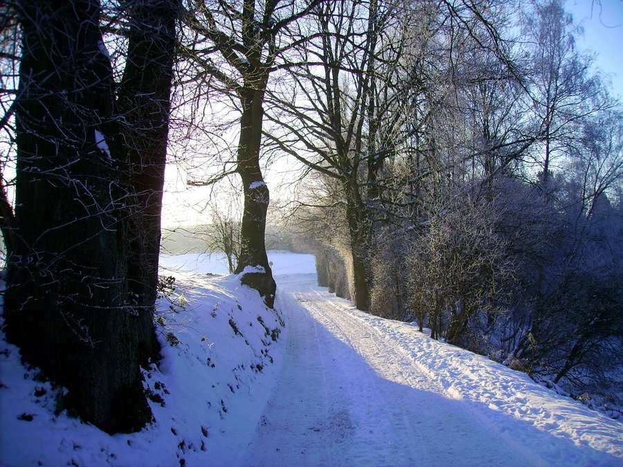 Winterimpressionen