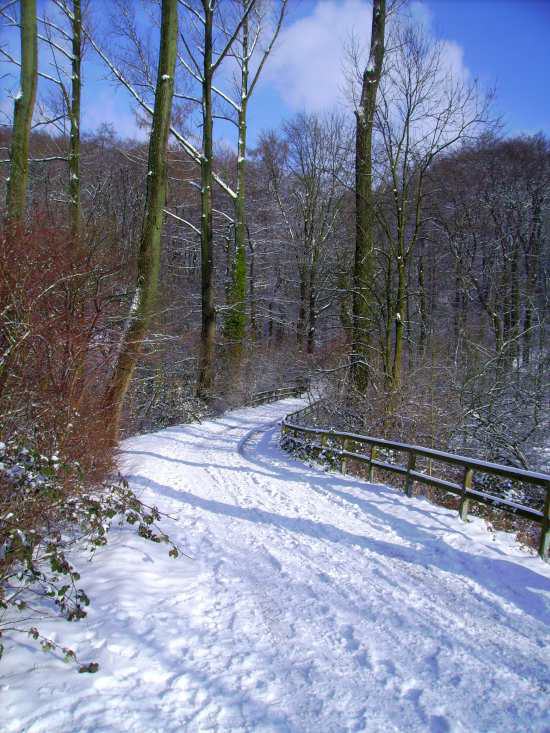 Winterimpressionen