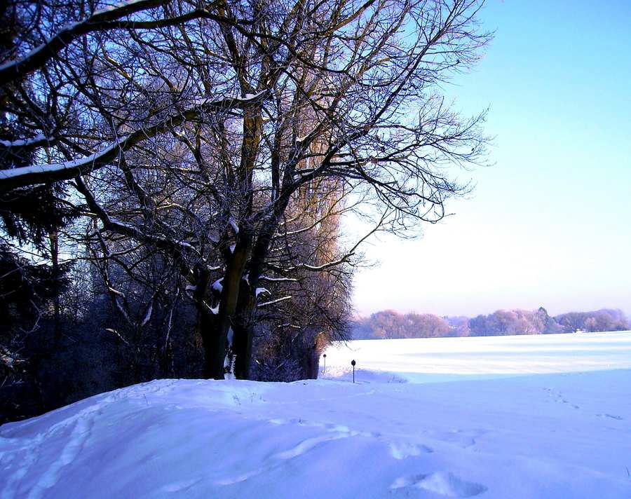 Winterimpressionen