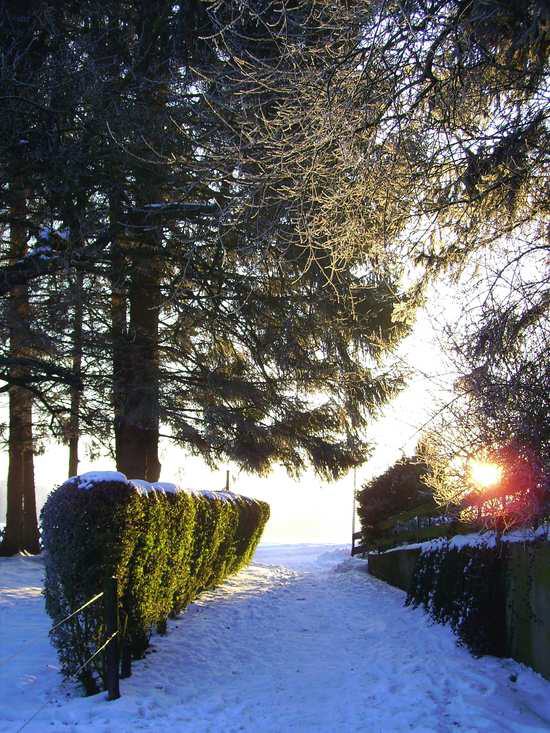 Winterimpressionen