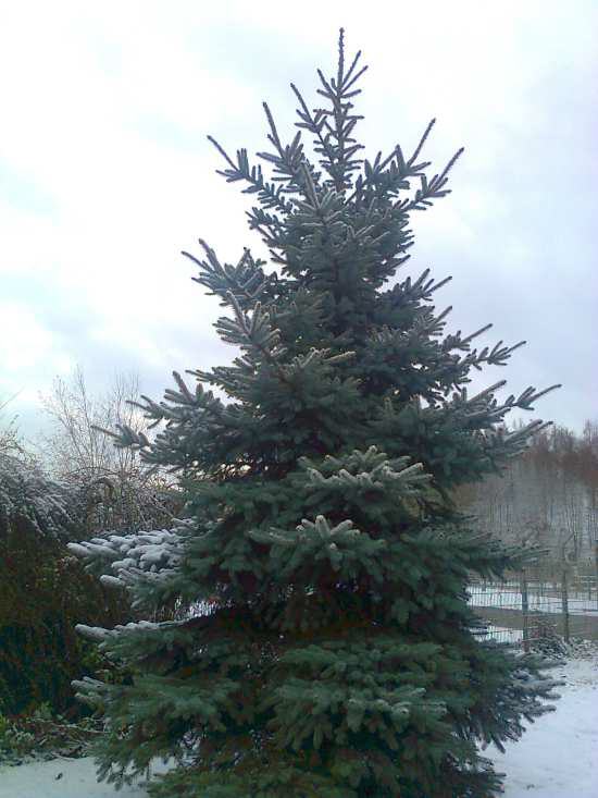 Winterimpressionen